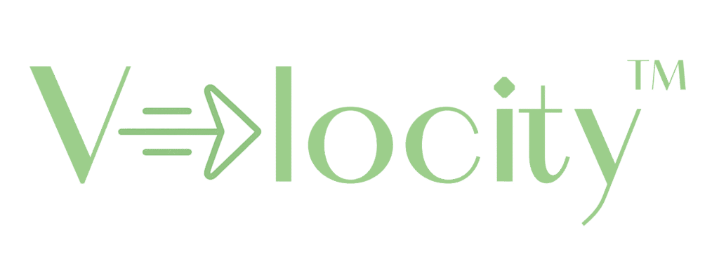 Velocity Logo